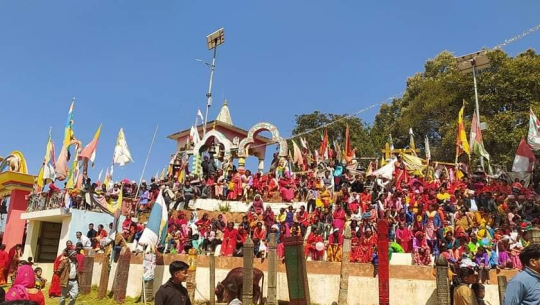 बैतडीको निङ्गलाशैनीमा साढे ७ सय राँगा र बोकाको बलि