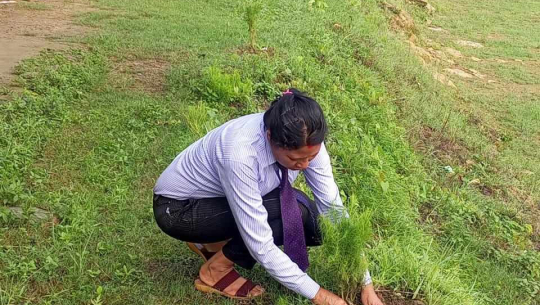 शिक्षिका बमद्धारा जन्म दिनमा कलाकार कल्याणकारी कोषमा रकम जम्मा