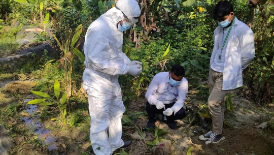 कैलाली र कञ्चनपुरमा रेबिजको संक्रमण फैलिँदै, ४८ पशुमा संक्रमण फेला