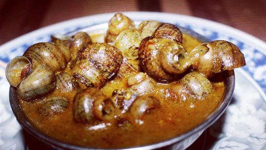 कोहलपुरमा घोङी खाने प्रतियोगिता