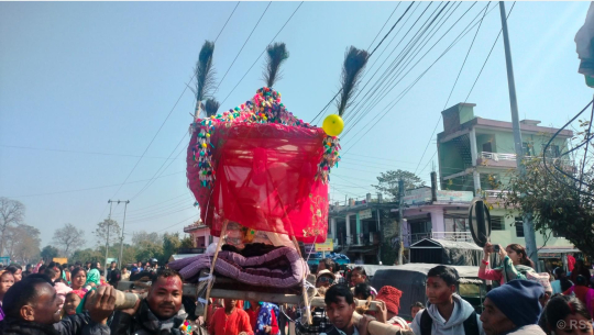 आधुनिकतासँगै सङ्कटमा पर्‍यो राना थारु समुदायको डोली–चन्डोल बोक्ने परम्परा