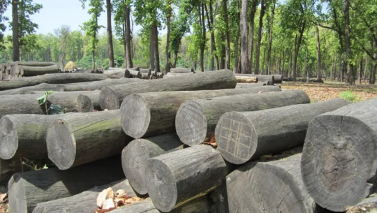 फाइल फोटो