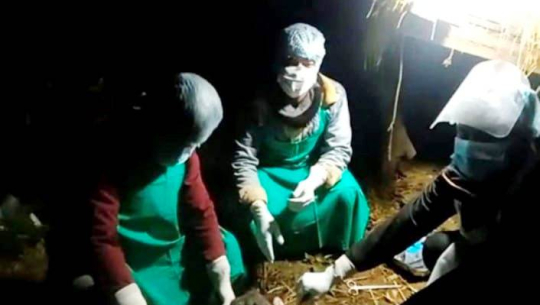 कैलालीका बंगुरमा पहिलो पटक रेविज पुष्टि