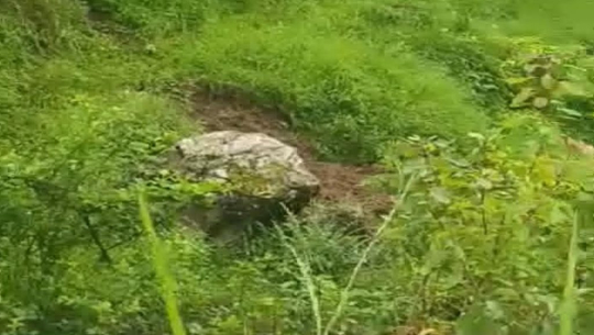 बैतडीमा घाँस काट्ने क्रममा ढुङ्गा लाग्दा २२ वर्षीया युवतीको मृत्यु