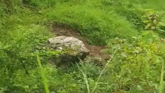22-year-old woman dies after being hit by a stone while mowing grass in Baitadi