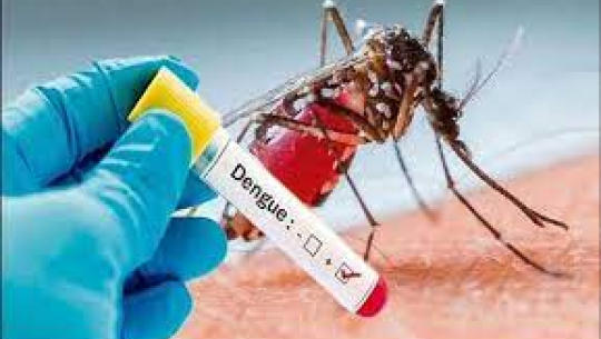 बङ्गलादेशमा हालसम्म एक हजार बढी डेङ्गु सङ्क्रमितको मृत्यु