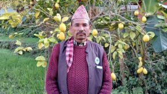 उपनिर्वाचन: डोटीको पूर्विचौकी–६ मा कांग्रेसका थापा विजयी