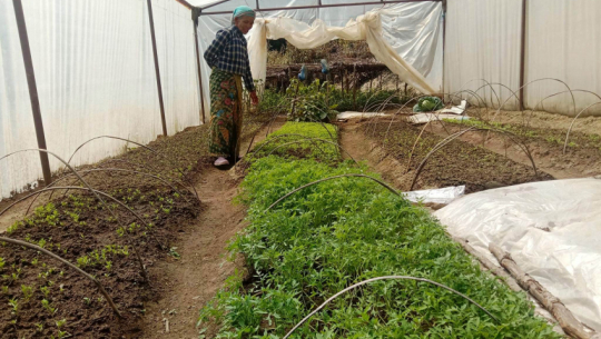 Ghanteshwar seed bank achieves annual turnover of Rs 1.15 crores