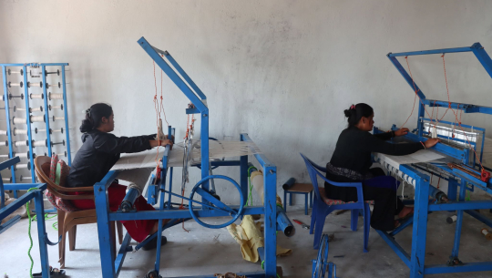 डोटीका जङ्गलमा खेर गइरहेको अल्लोलाई आम्दानीको स्रोत बनाउने लक्ष्य