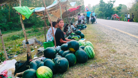 बगरमा तरबुजाखेती वनहराका मुक्तकमैयाको आयआर्जनको प्रमुख आधार