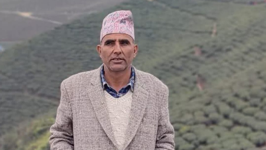 नेतासँग सार्वजनिक शिक्षा सुधारको योजना के छ? भन्ने प्रश्न गरौँ : प्राध्यापक उपाध्याय