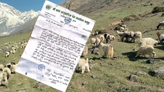 हुम्लाको सामुदायिक वनले बाजुराको लाम्पाटा खाली गर्ने उर्दी जारी गर्‍यो
