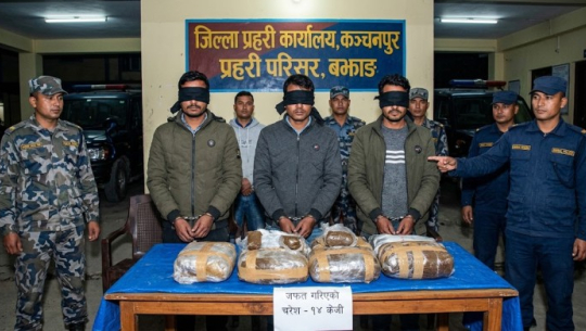 कञ्चनपुर र बझाङबाट १४ किलो चरेशसहित ३ जना पक्राउ