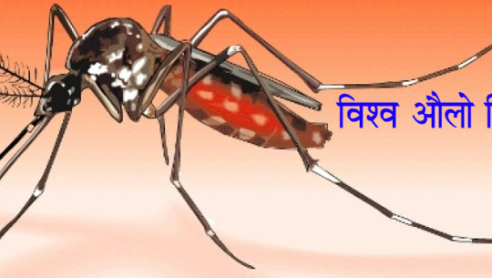 आज विश्व औलो दिवस, अन्तरराष्ट्रिय प्रतिनिधि दिवस पनि आजै
