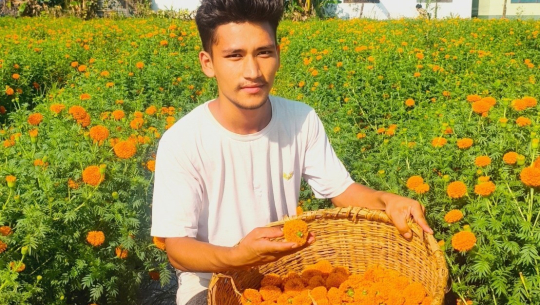 धनगढीबाट सयपत्री फूलको माला बेलायत पठाइयो