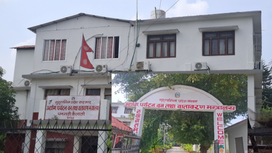 प्रदेश वन मन्त्रालयमा रमिताः सचिवले भ्रमण आदेश दिए, निर्देशकले स्पष्टीकरण सोधे