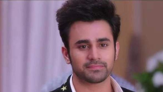 ‘नागिन ३’ का अभिनेता पर्ल पुरी बलात्कार आरोपमा पक्राउ