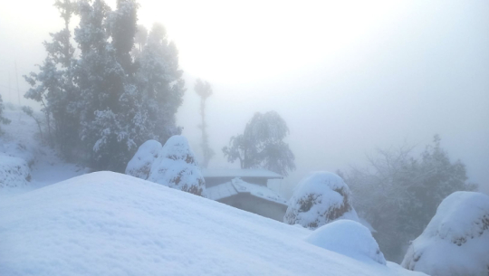 उच्च पहाडी तथा हिमाली भागका केही स्थानमा मध्यम हिमपात र वर्षा हुने