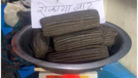 Two Bajhang youths arrested with nearly 9 kilos of hashish in Kanchanpur