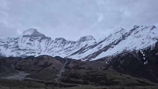 138 individuals receive permits to collect Yarsagumba in Darchula