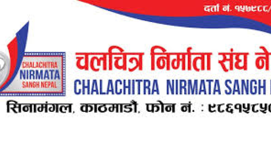 चलचित्र संघसँग दोहोरो कर नलिन माग