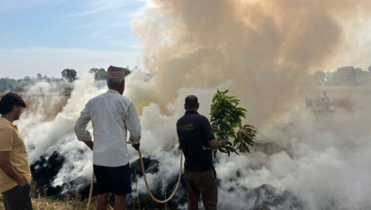 धनगढीमा आगलागीबाट १० कट्ठा गहुँबाली नष्ट