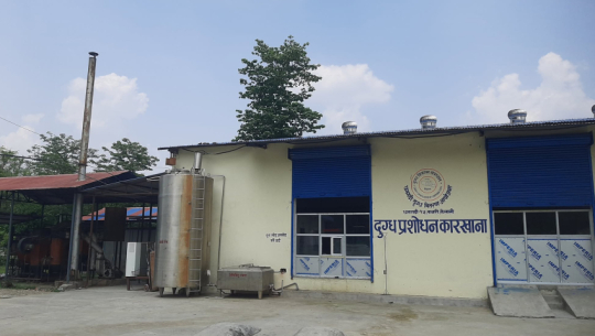 DDC Dhangadhi earns Rs 6 crore revenue from dairy product sales