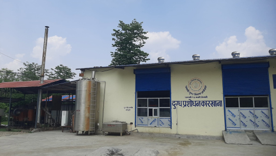 धनगढी दुग्ध वितरण आयोजनाद्वारा १० महिनामा ६ करोड राजस्व सङ्कलन 