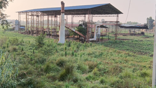 Herbal cultivation expanded to 35 hectares in Far-west province