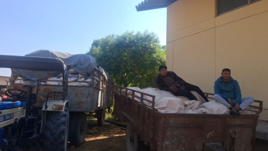 खाद्यले रोक्यो कैलालीमा धान खरिद, किसान ५ दिनदेखि पालो पर्खदै