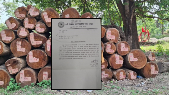 बाह्रवनमा अनुमति भन्दा ८ गुणा बढी रुख कटान, संसदीय समितिद्वारा काम  रोक्न निर्देशन