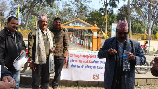 कैलाली–कञ्चनपुरमा पनि हात्तीपाइले निवारण कार्यक्रम शुभारम्भ