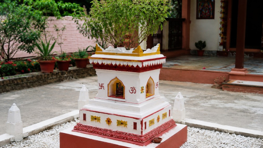 ज्येष्ठ शुक्ल एकादशीः घरघरका मठमा तुलसीको दल राखिँदै