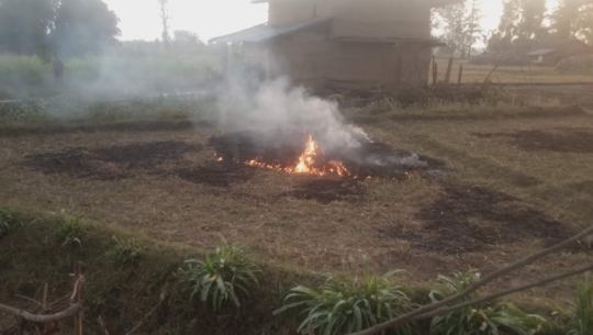 Kailali municipalities urge farmers not to burn wheat stubble, warn of environmental and safety risks