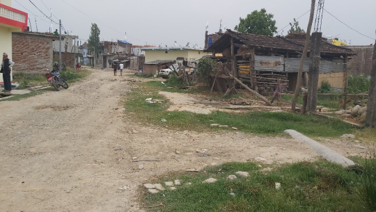 बर्दगोरियाको बौनिया 