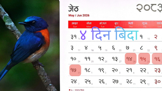 आजदेखि लगातार ४ दिन सार्वजनिक बिदा