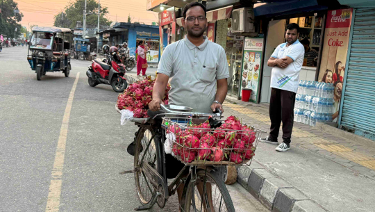 साइकलमा ‘ड्रागन फ्रुट’ बेचेर स्वरोजगारको सन्देश प्रवाह  गर्दै उद्यमी पन्त