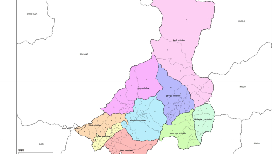 कांग्रेसको सर्वसम्मत नेतृत्व चयन