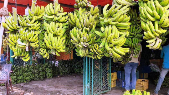 भारतीय केराले नेपाली व्यवसायी मारमा 