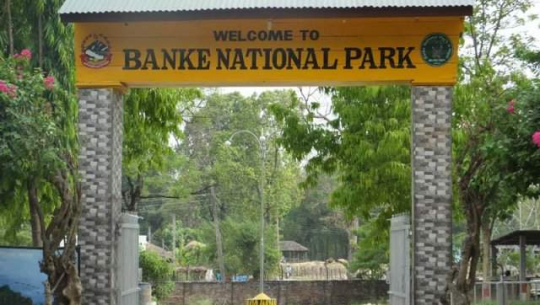 बाँके राष्ट्रिय निकुञ्जमा जङ्गल सफारी सुुरु