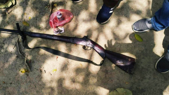कैलालीमा भरुवा बन्दुक बरामद