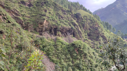 बैतडीमा भीरबाट लडेर एक महिलाको मृत्यु