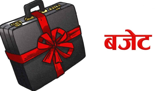 सातै प्रदेशका सरकारको बजेट आज सार्वजनिक हुँदै