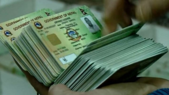 ‘लाइसेन्स’ छपाइ तीव्र गतिमा 