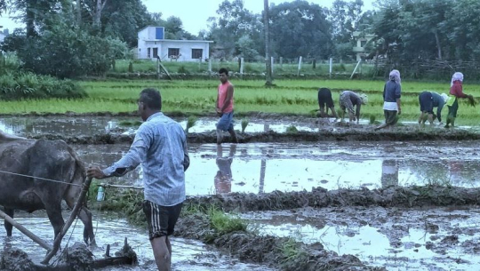 तस्बिर : भूवन भट्ट