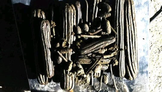 बझाङमा चरेससहित दुई युवक पक्राउ