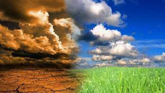 फाइल फोटो