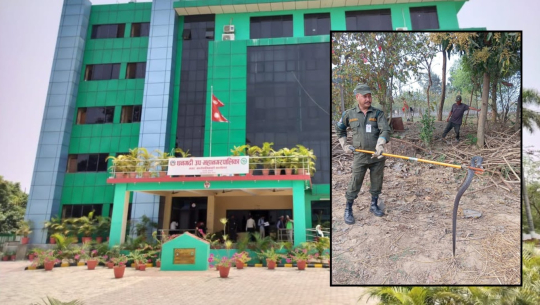 धनगढीमा २ वर्ष ७ महिनामा ३ हजार सर्प उद्धार