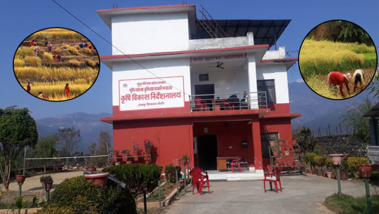 सुदूरपश्चिमका ९७ वडामा फेला परेनन् कृषि कामदार