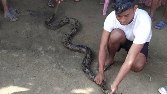 तस्बिर : दुर्गा देवकोटा